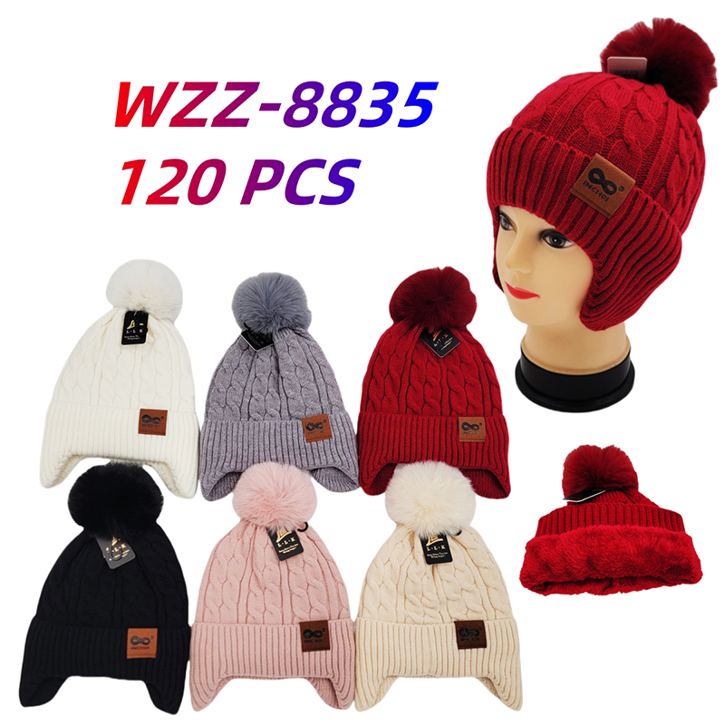 WZZ-8835 CS120